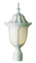 Trans Globe 4042 WH - 1LT POST-MED-OUTD-OPAL GLASS